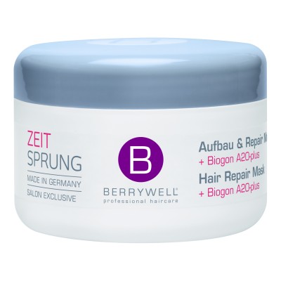 BW Aufbau & Repair Maske